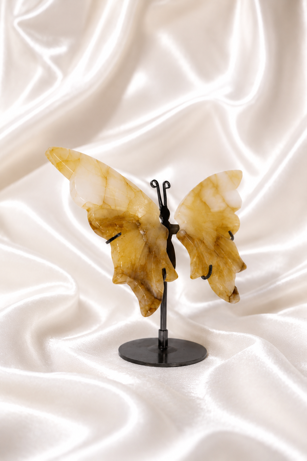 Golden Healer Butterfly Wings #7