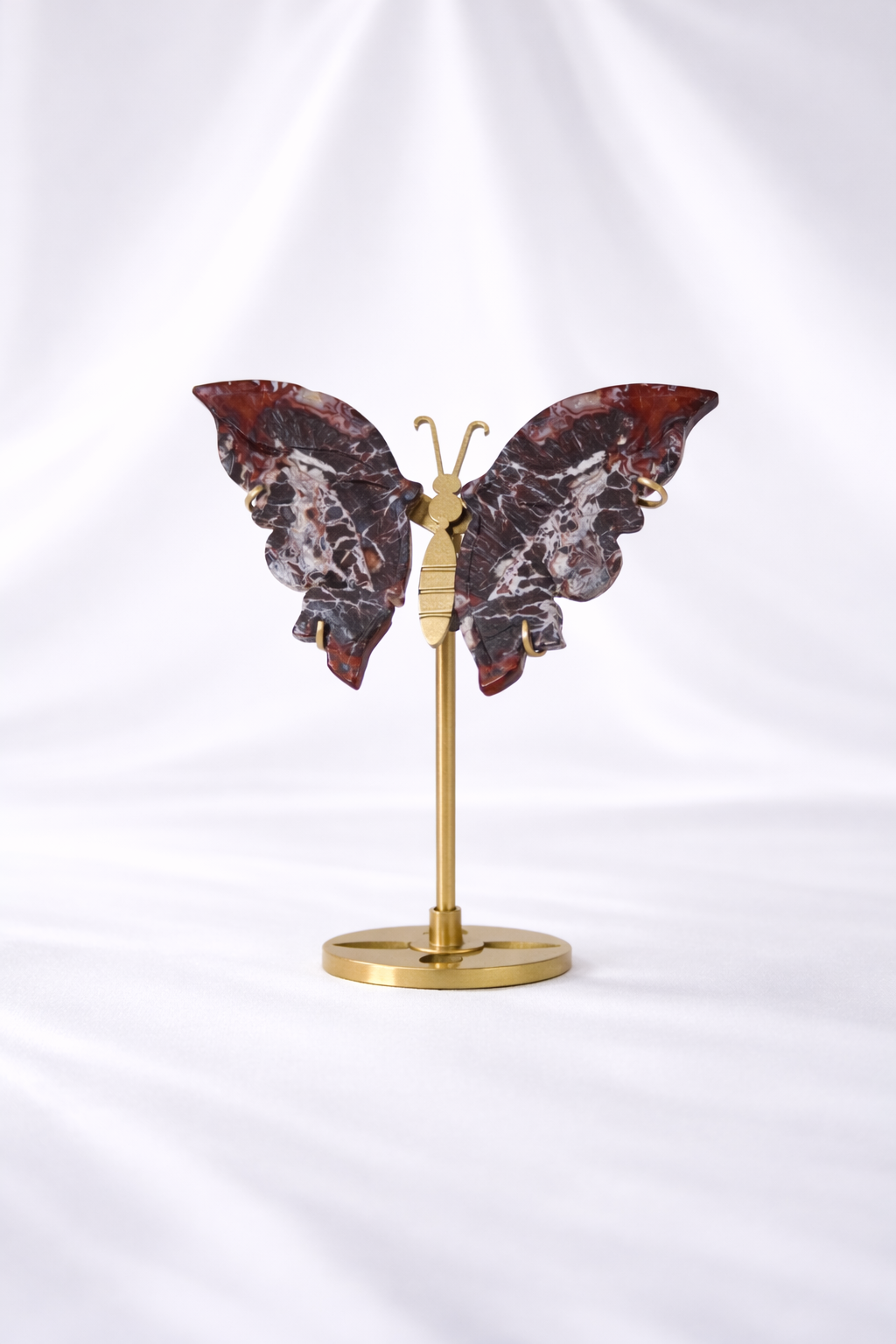 Mexican Crazy Lace Agate Butterfly Wings #1