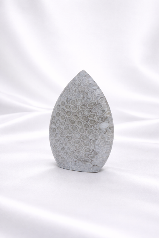 Fossil Coral Flame #2