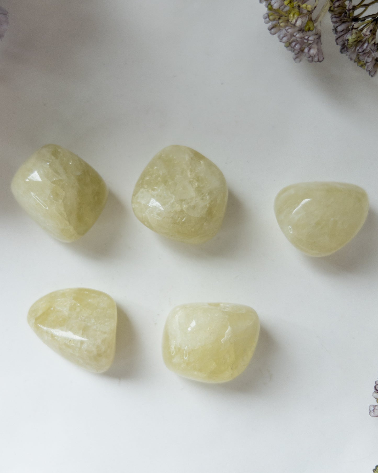 Citrine Tumbles - Large