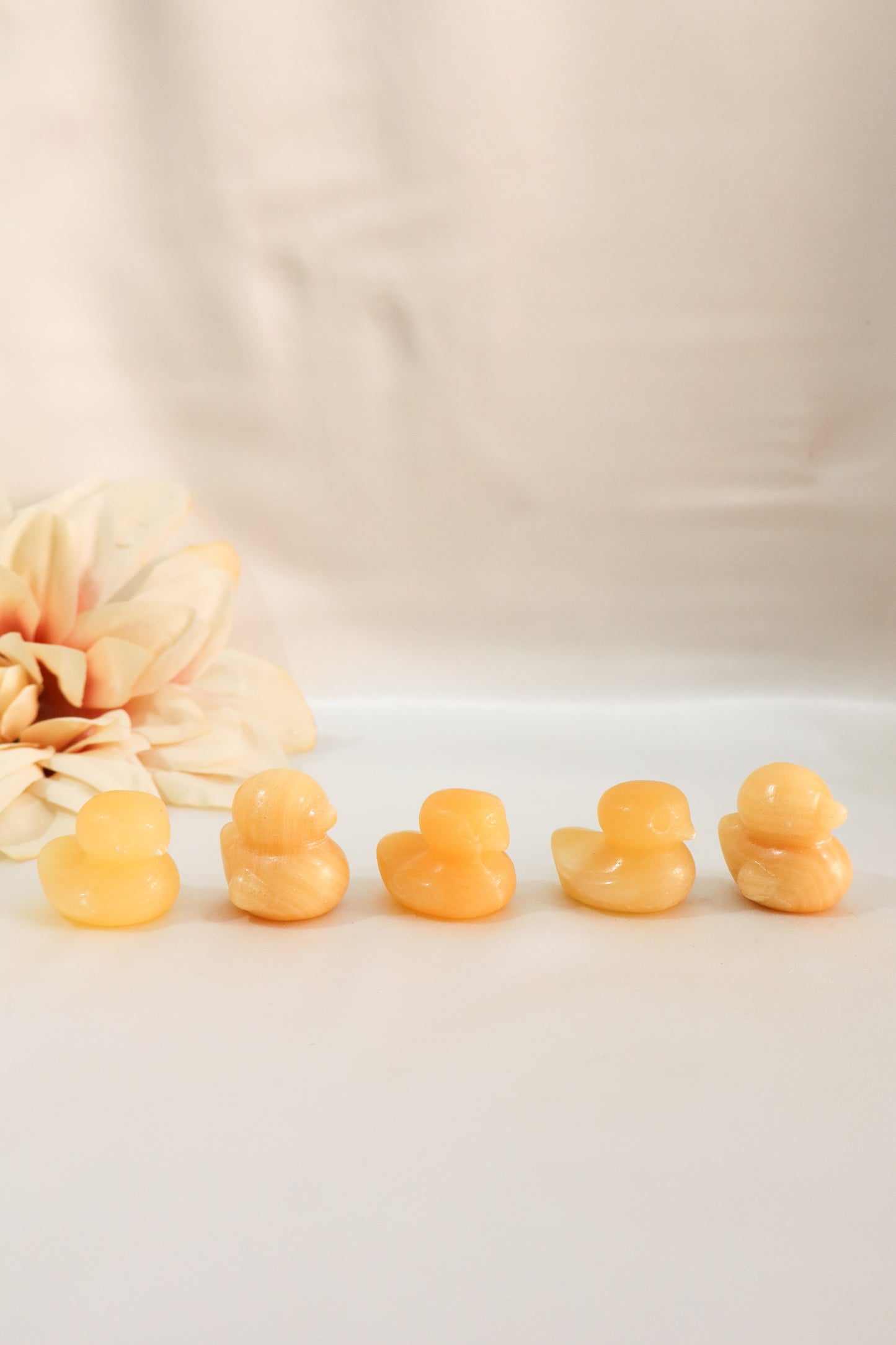 Duck Carvings