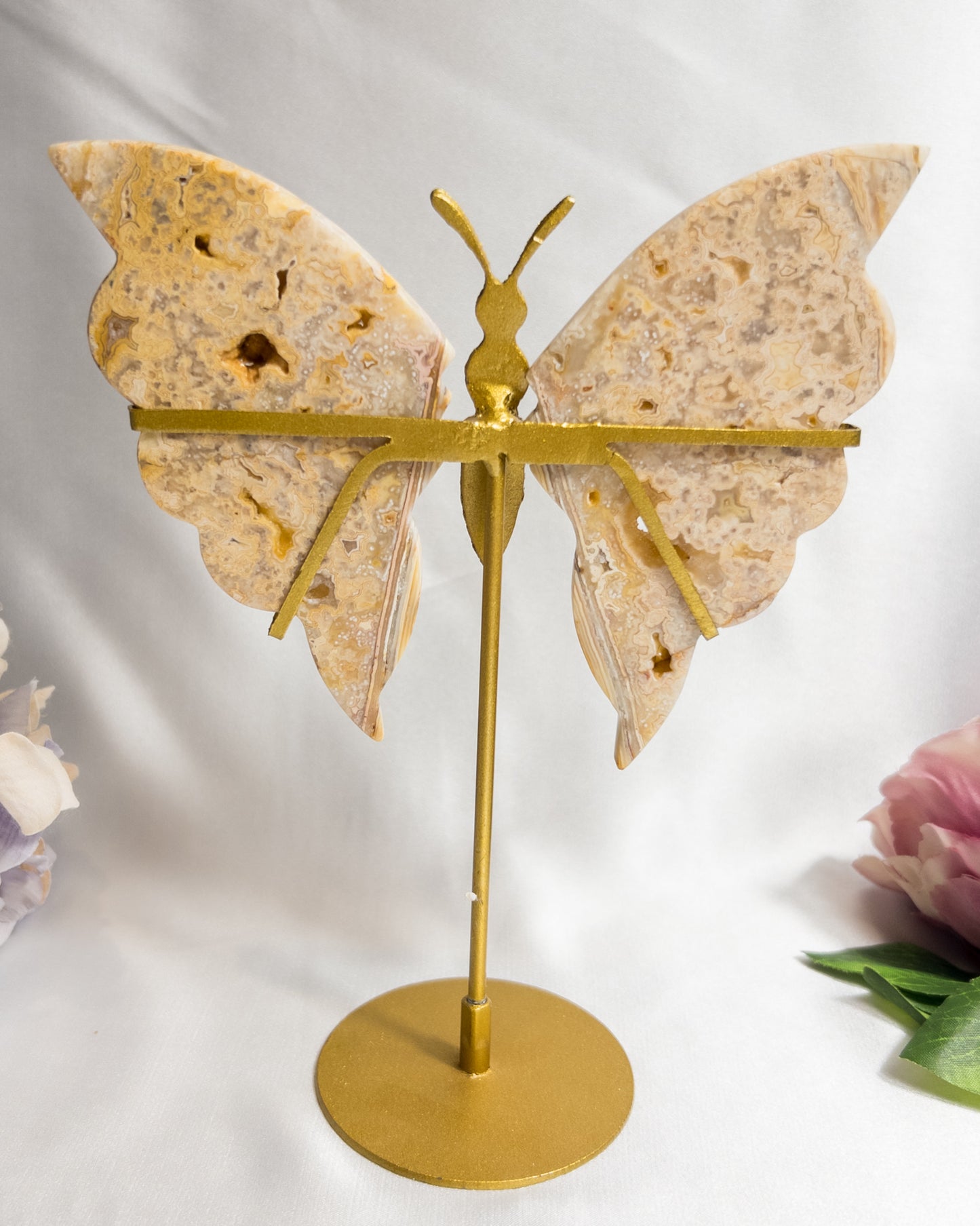 Yellow Crazy Lace Agate Butterfly Wings #2