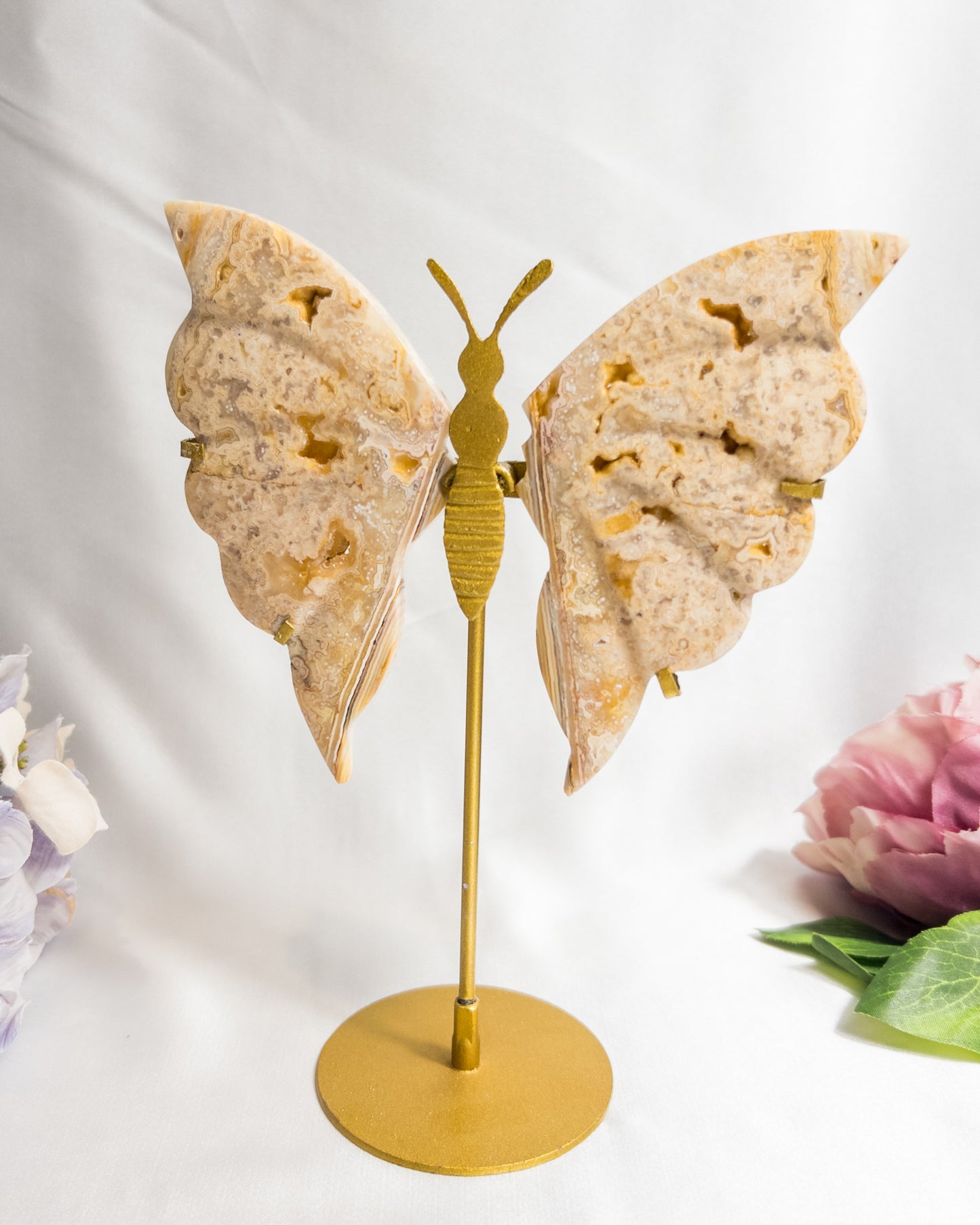 Yellow Crazy Lace Agate Butterfly Wings #2