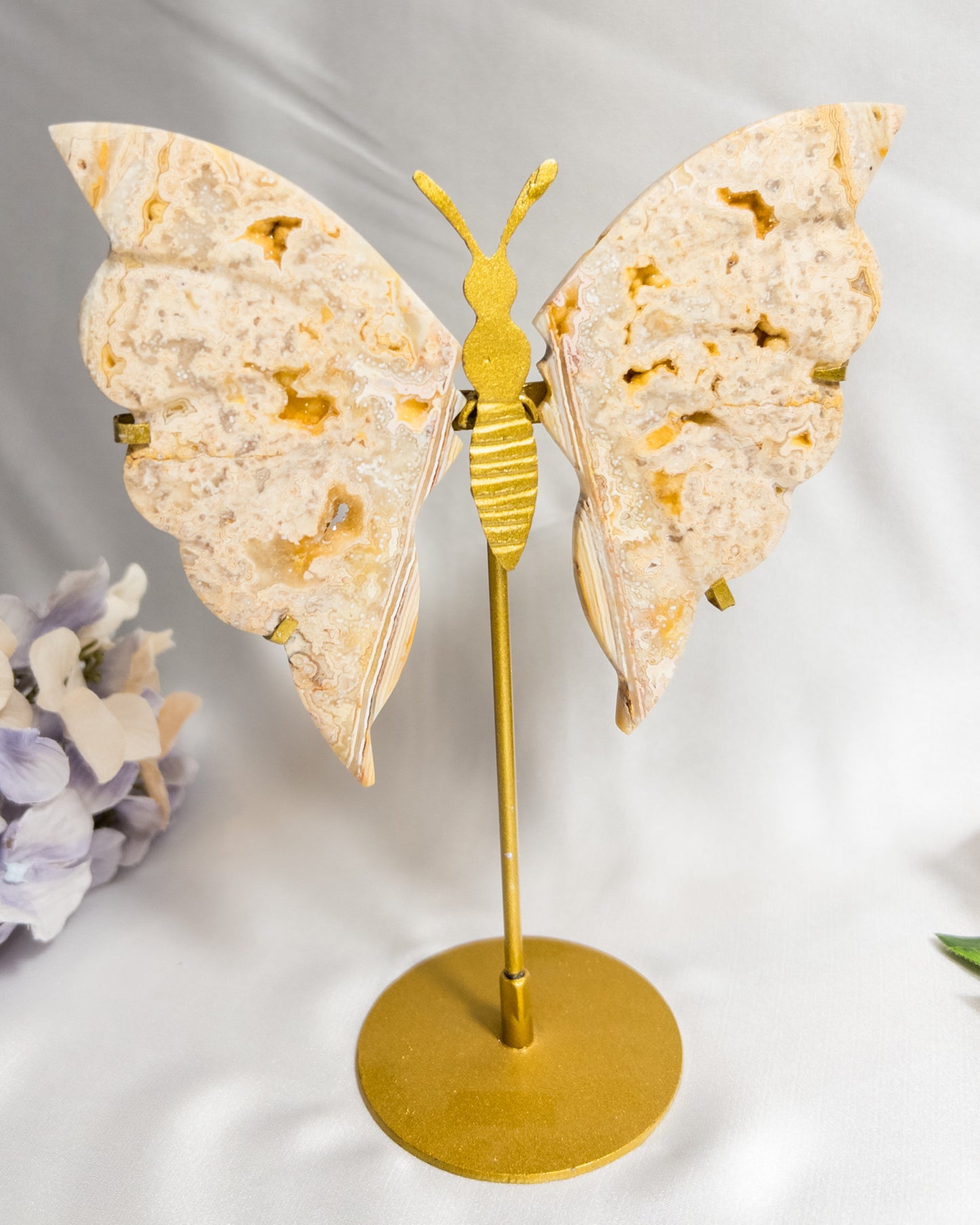 Yellow Crazy Lace Agate Butterfly Wings #2