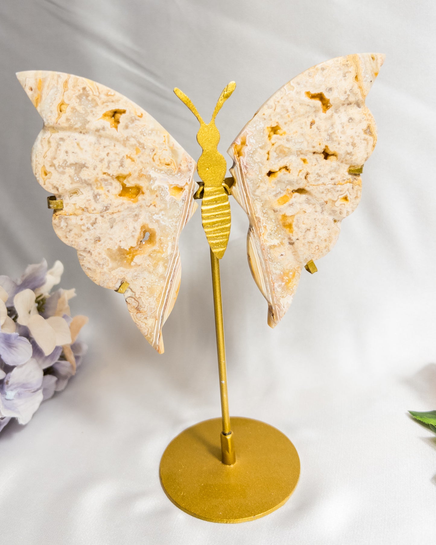 Yellow Crazy Lace Agate Butterfly Wings #2