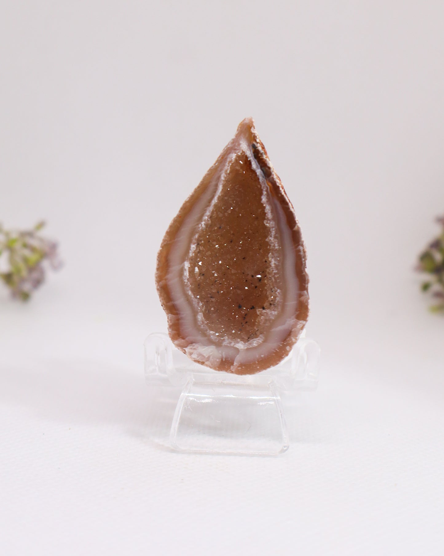 Polished Agate Geode #18