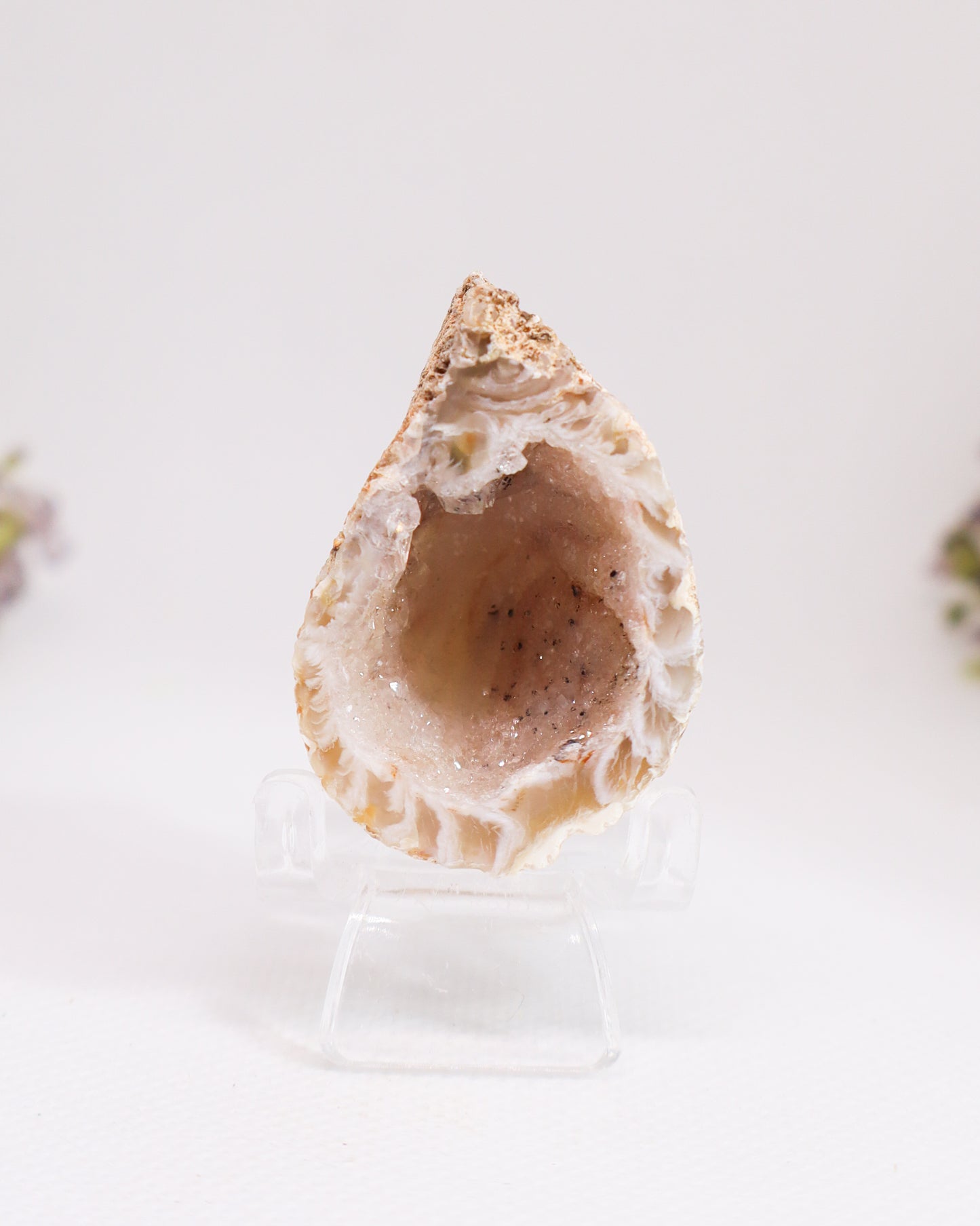 Polished Agate Geode #19