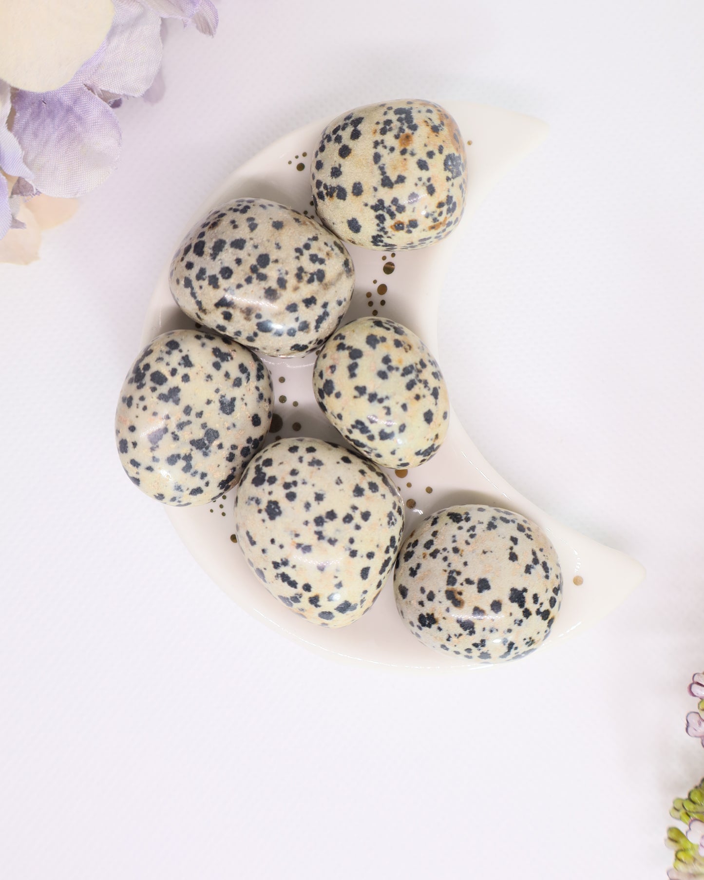 Dalmatian Jasper Tumbles