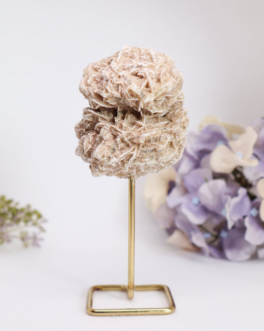 Desert Rose on Metal Stand #1