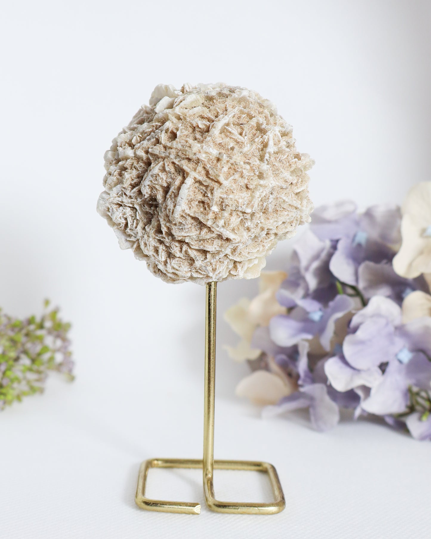 Desert Rose on Metal Stand #3