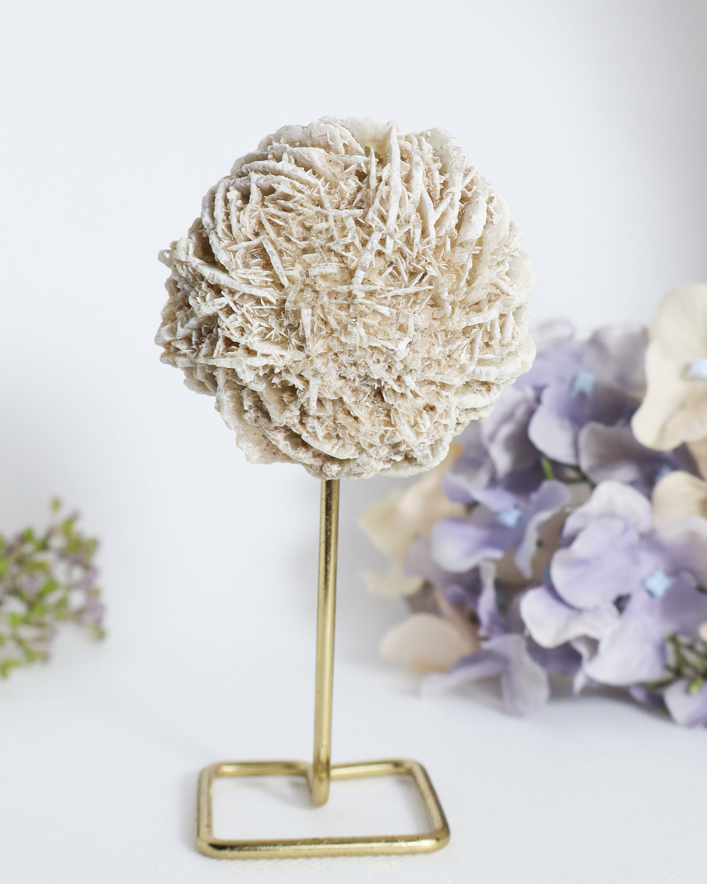 Desert Rose on Metal Stand #3