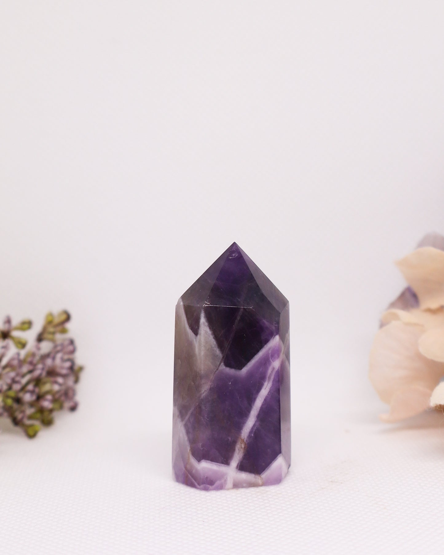 Dream Amethyst Towers