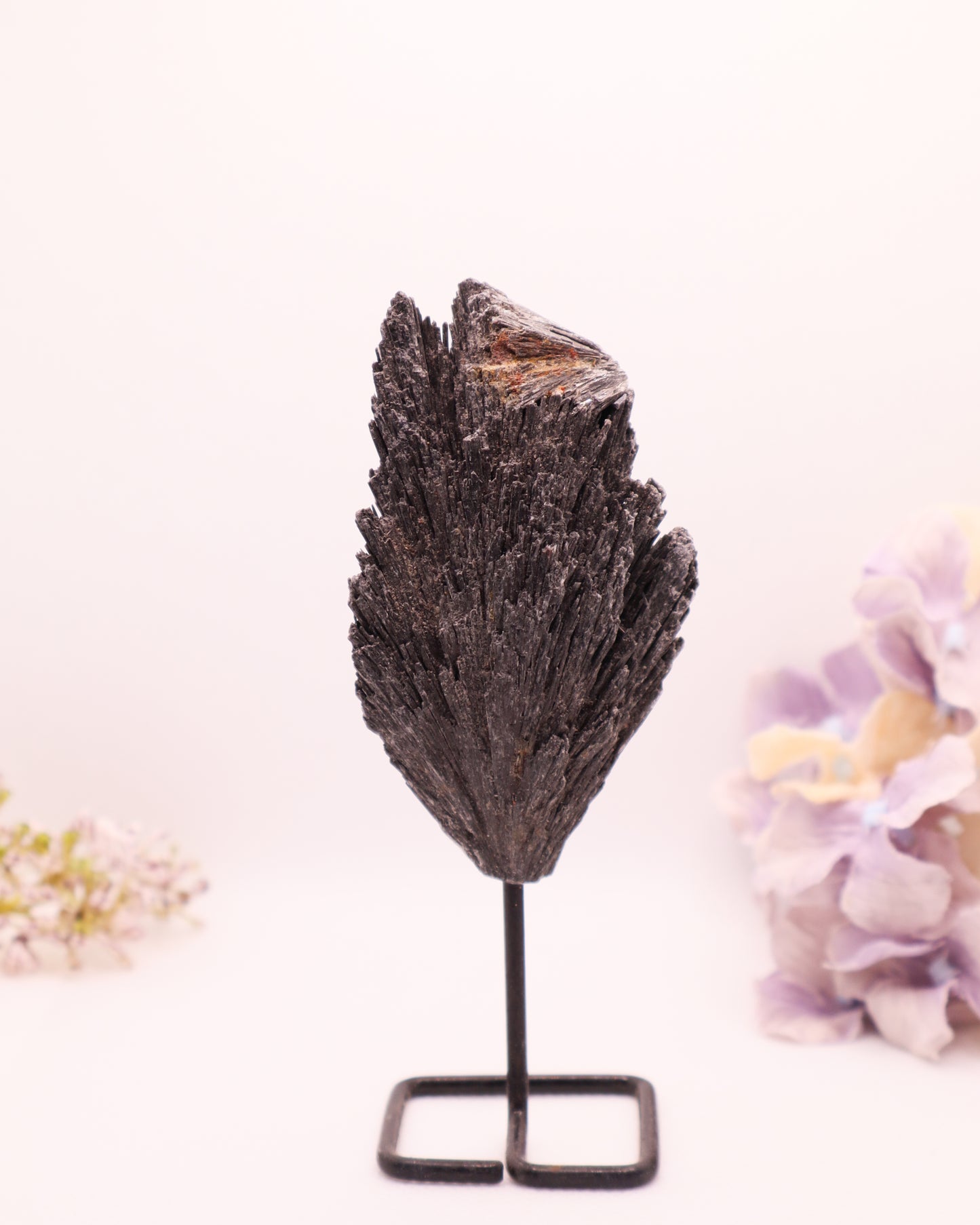Black Kyanite on Stand #4