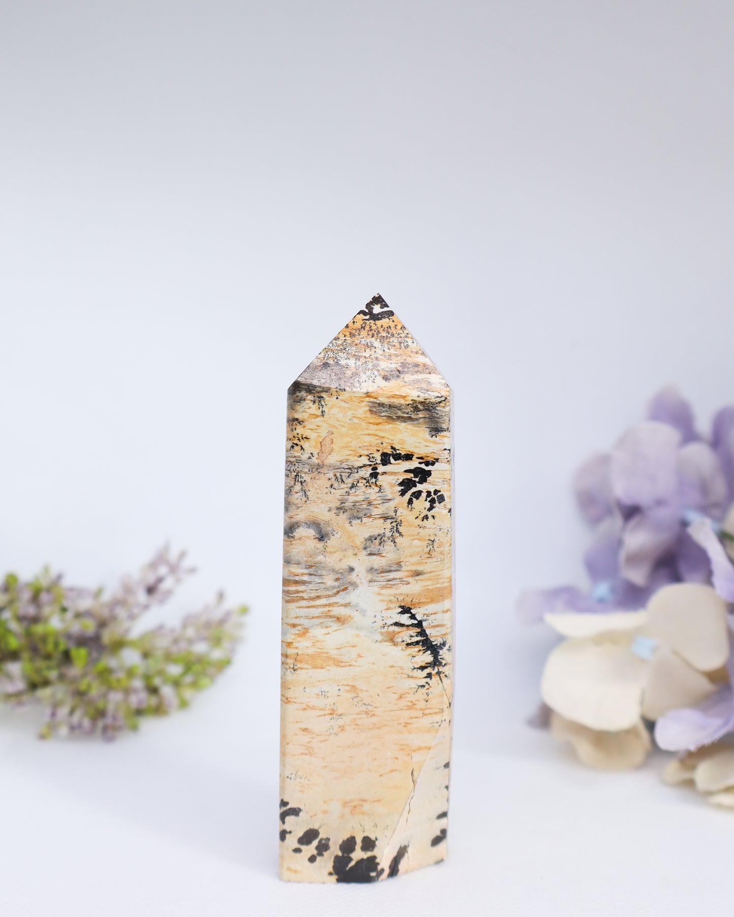 Picture Jasper Tower #7