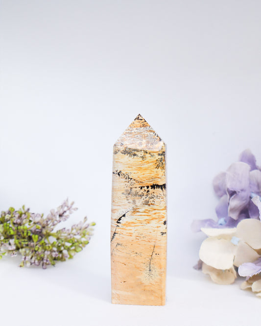 Picture Jasper Tower #7