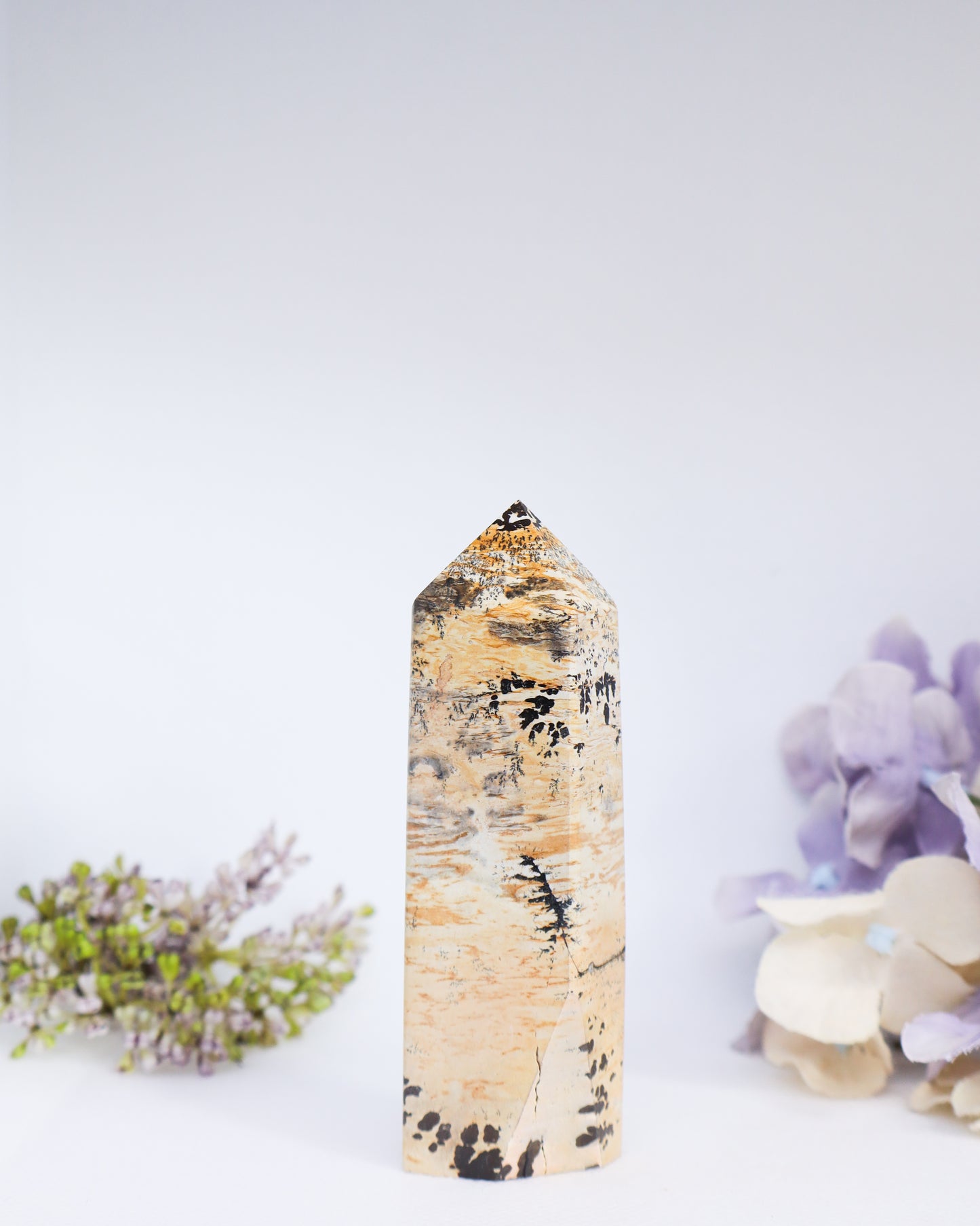 Picture Jasper Tower #7