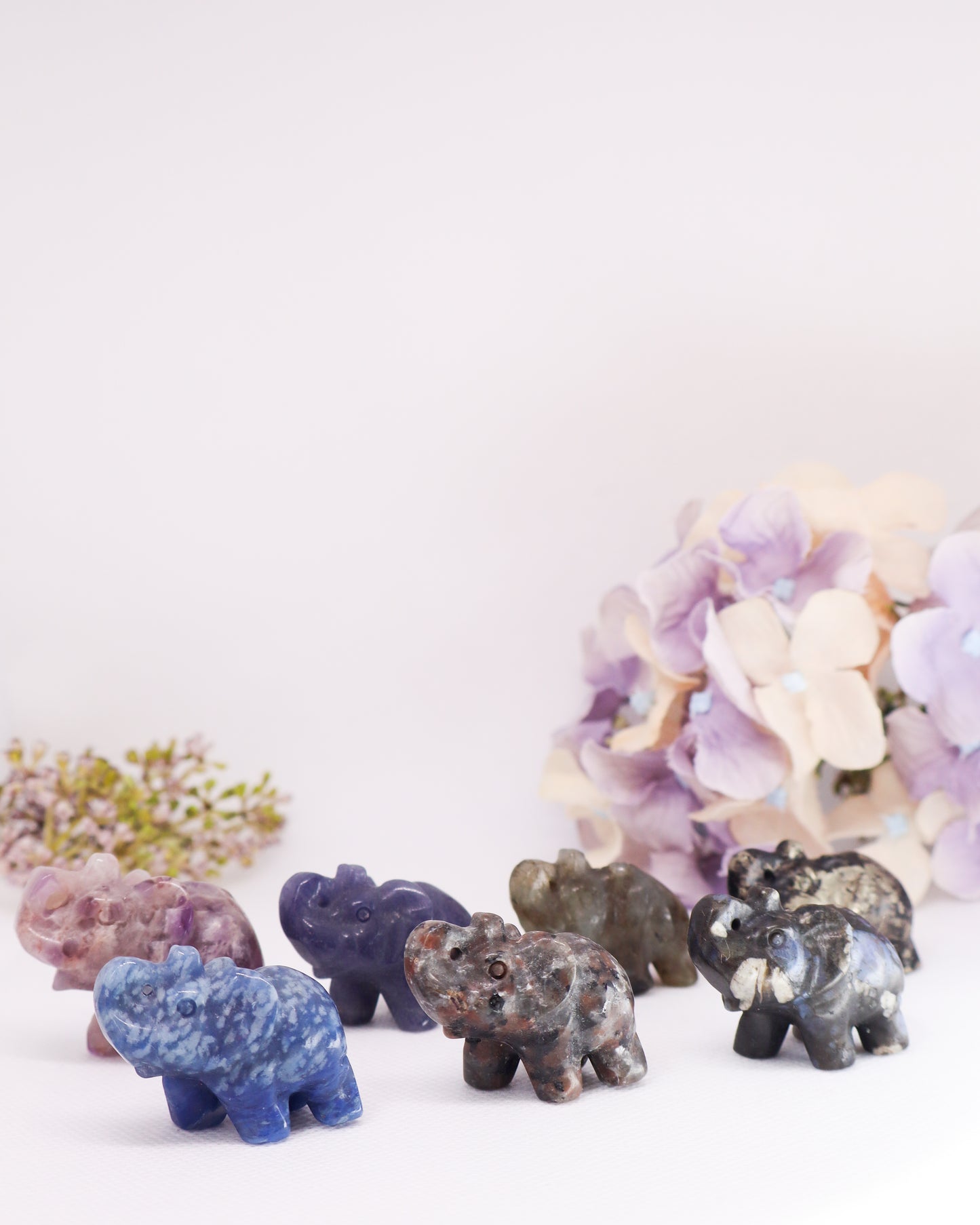 Elephant Carvings
