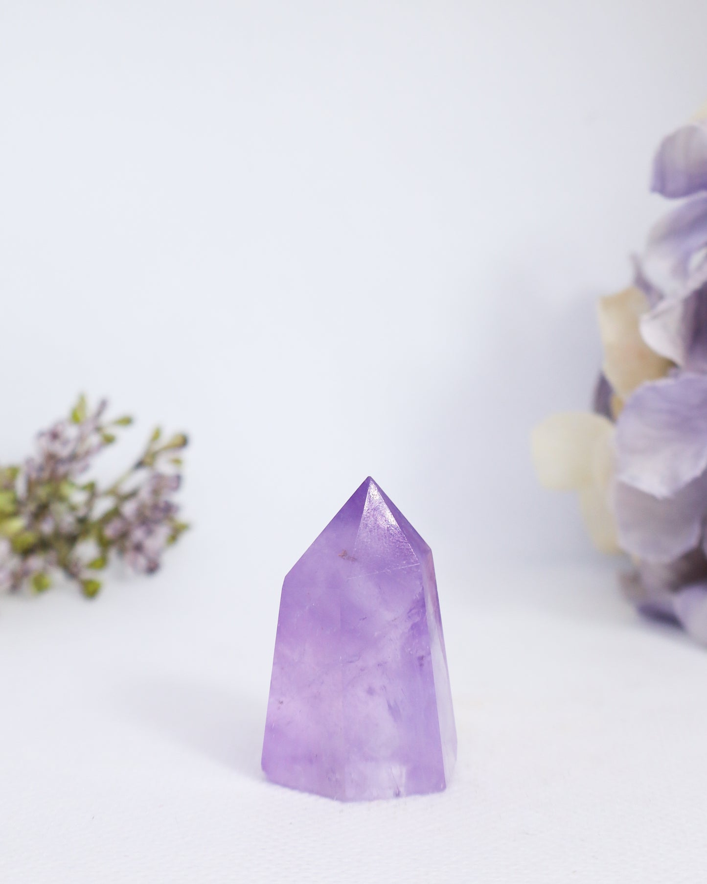 Ametrine Points ( Amethyst + Citrine)