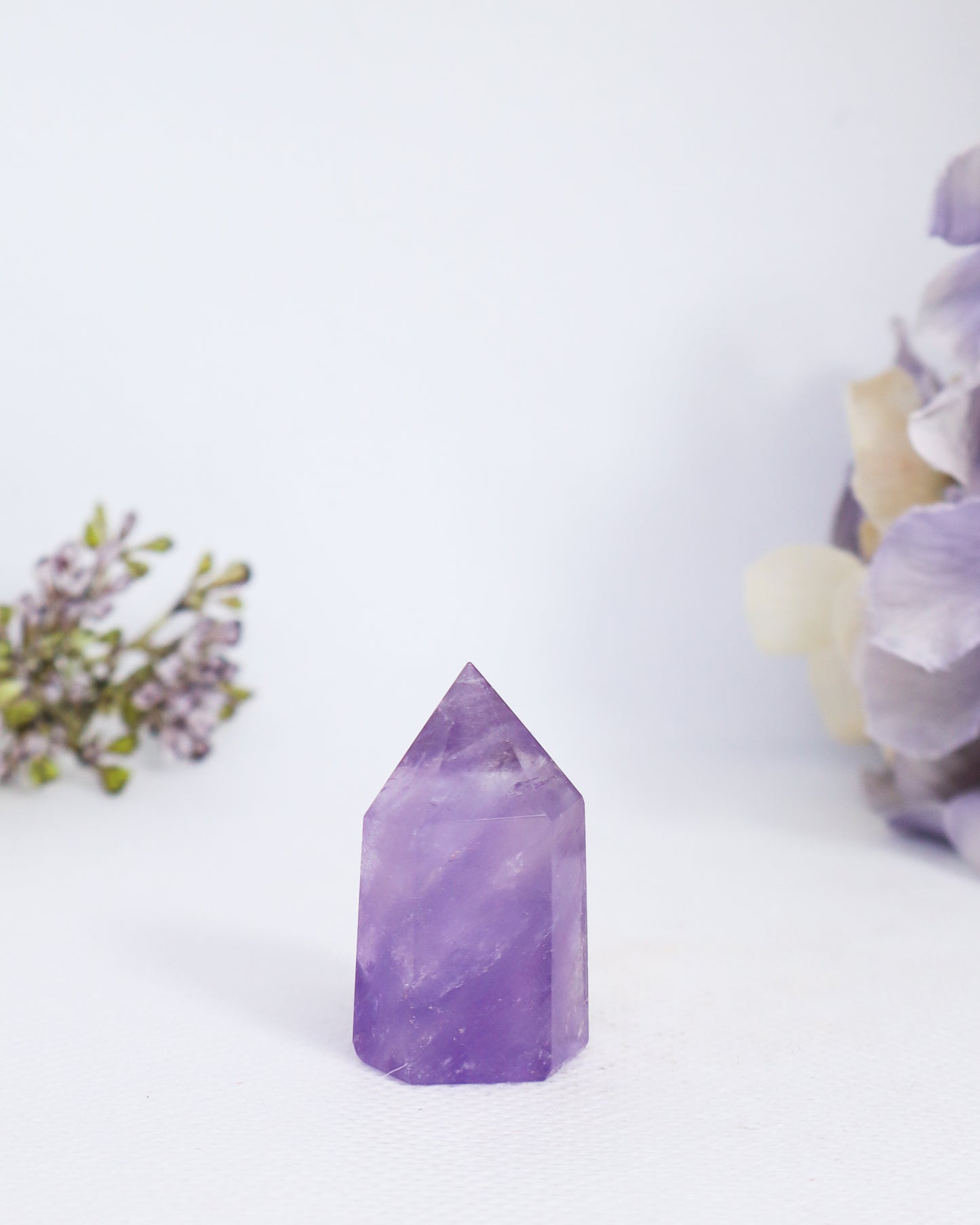 Ametrine Points ( Amethyst + Citrine)