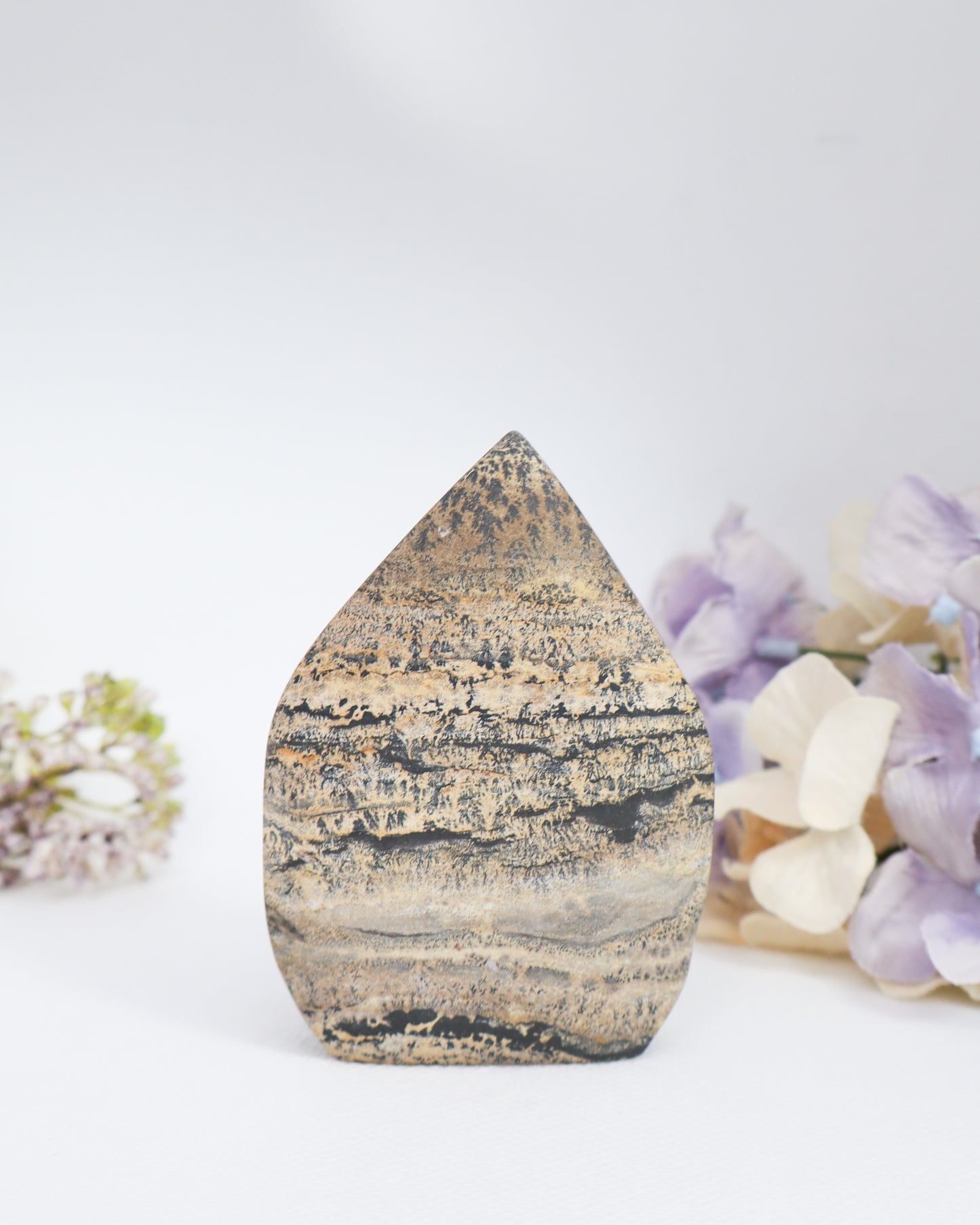 Picture Jasper Flame #3