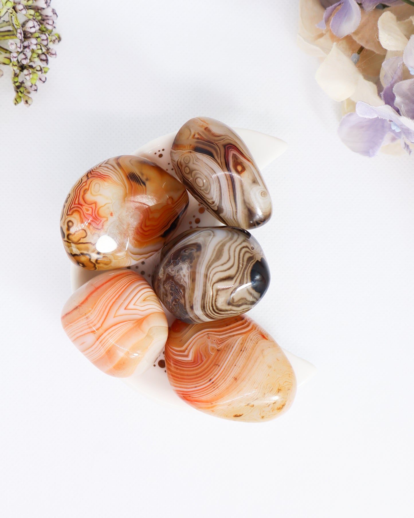 Sardonyx Tumbles - X Large