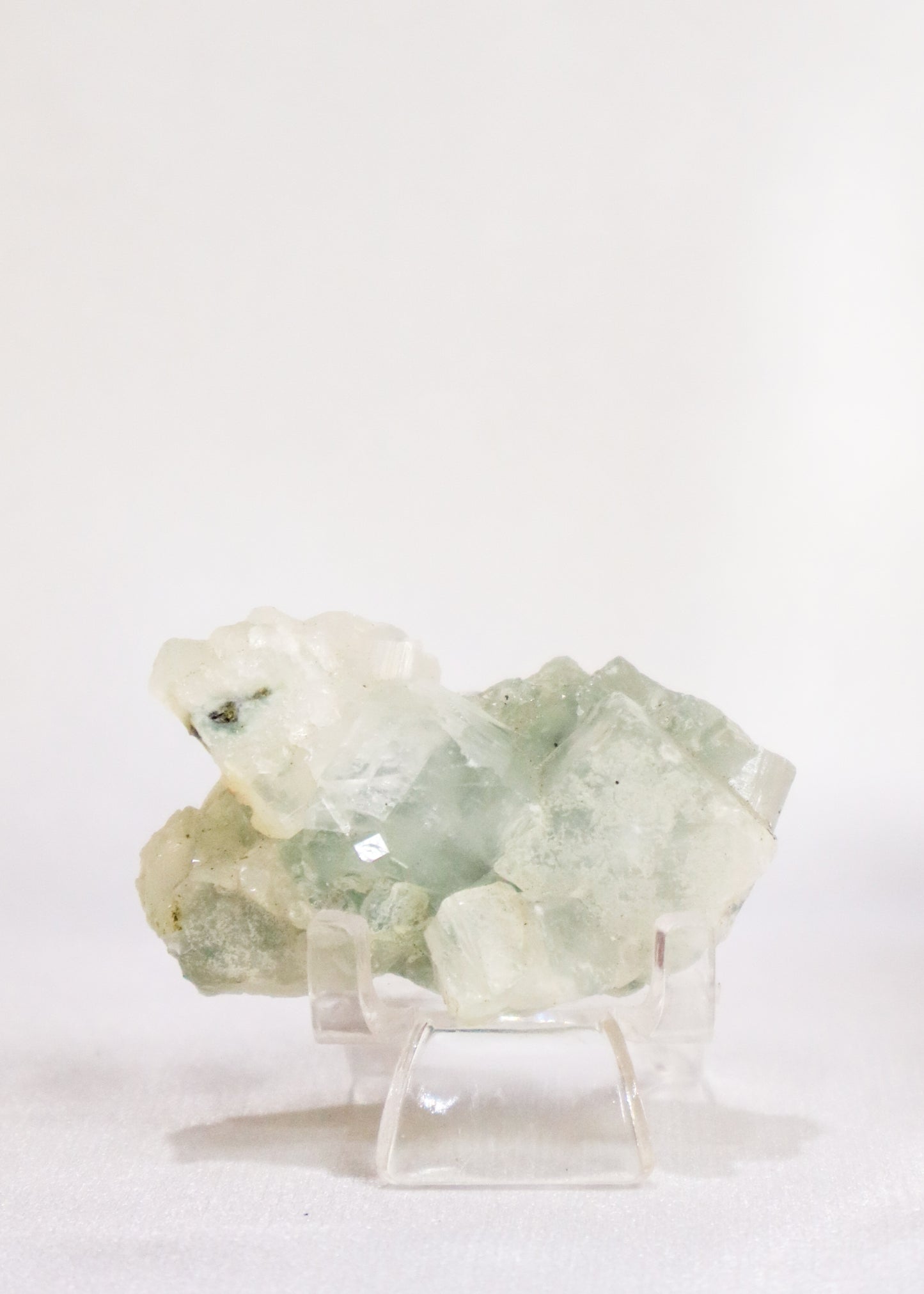 Small Apophyllite Cluster - #6