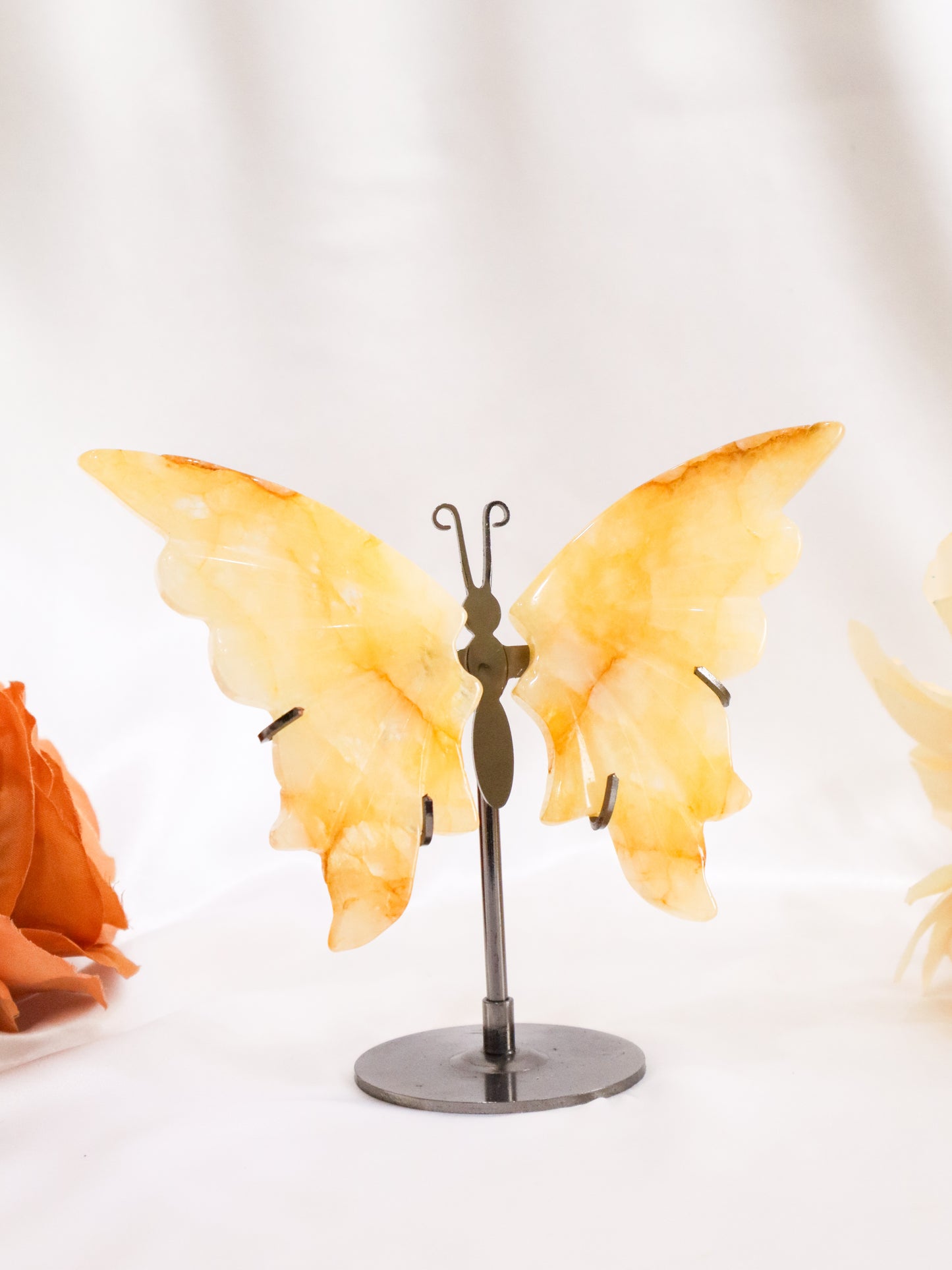 Golden Healer Butterfly Wings #3