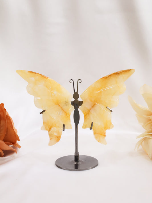 Golden Healer Butterfly Wings #3
