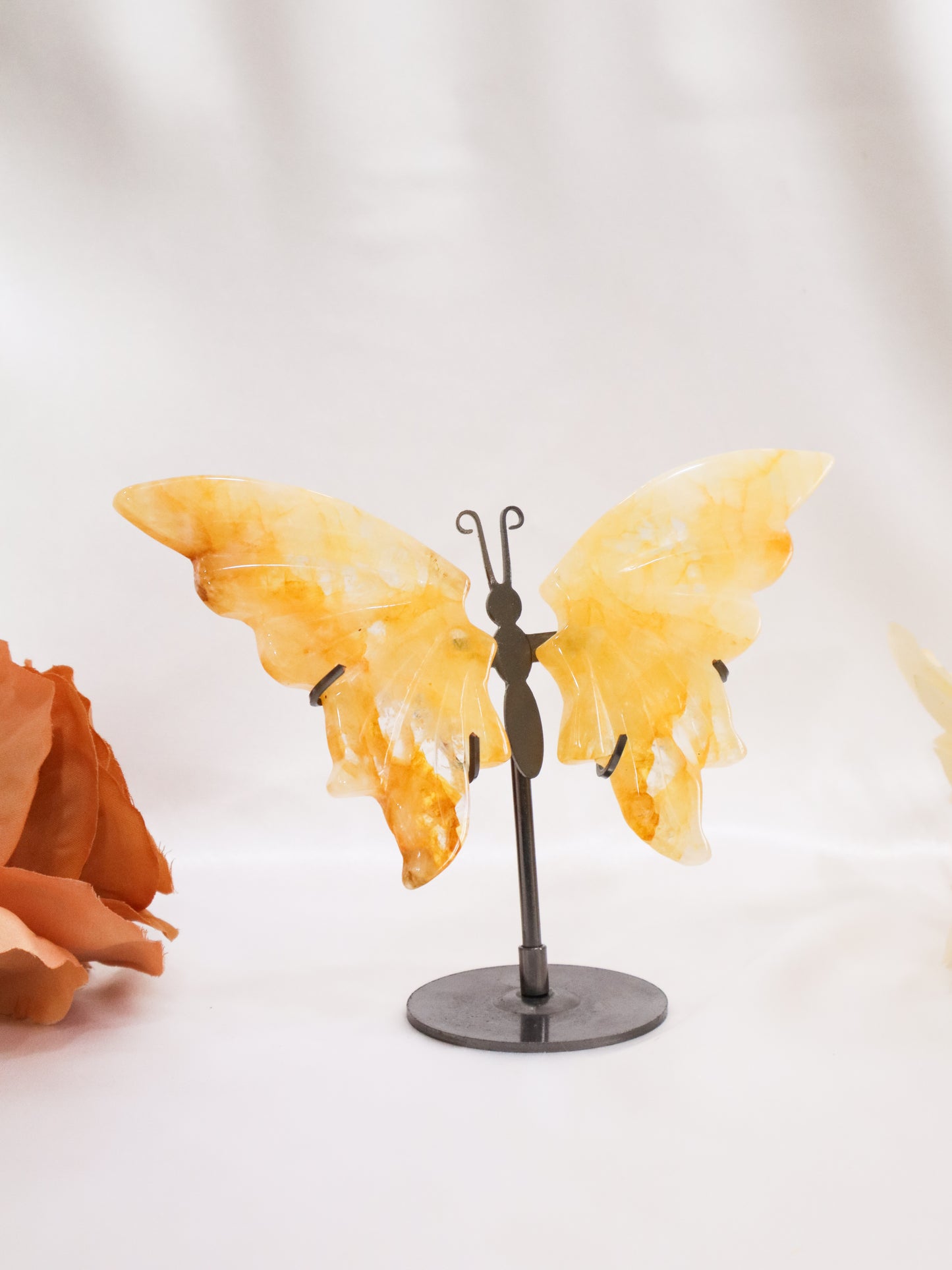 Golden Healer Butterfly Wings #4