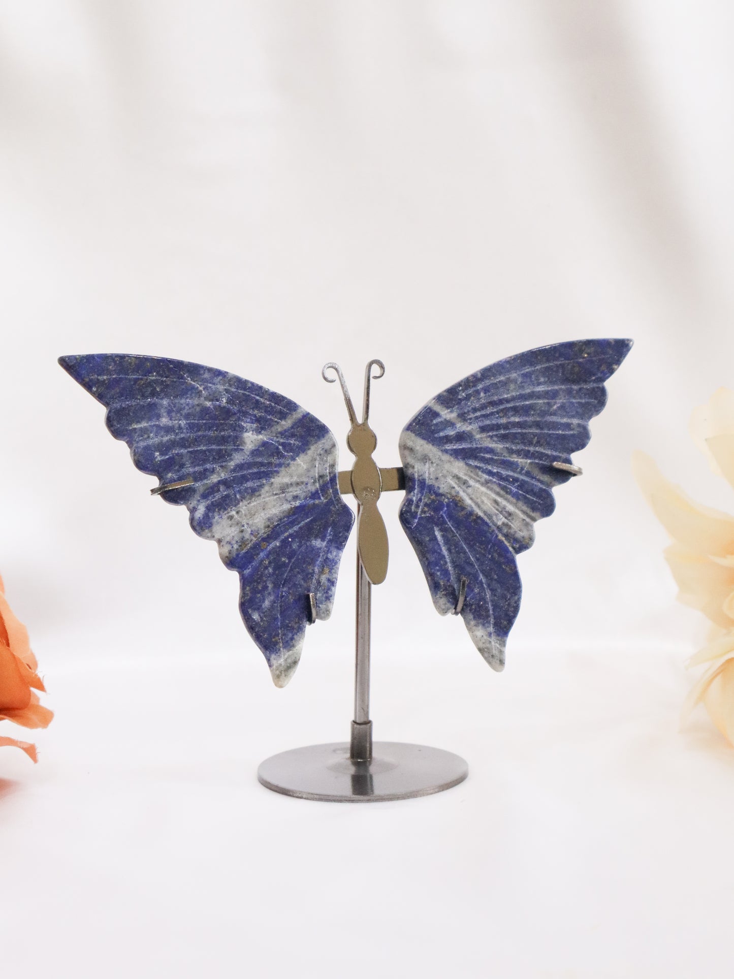 Lapis Lazuli Butterfly Wings #1