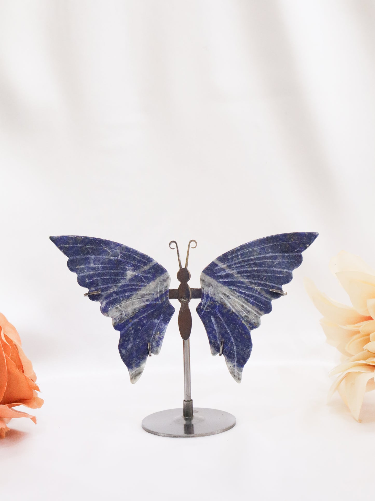 Lapis Lazuli Butterfly Wings #1