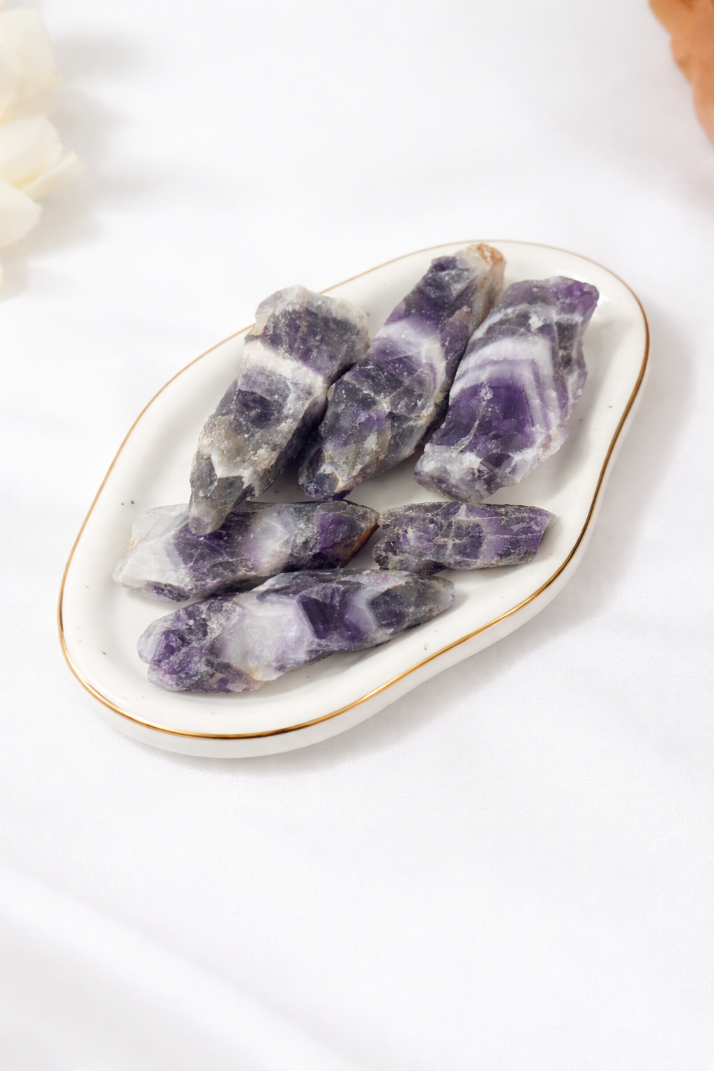 Chevron Amethyst Tooth/ Point