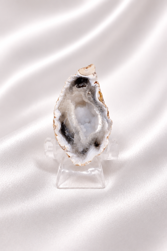 Polished Agate Geode #60- Less Shine