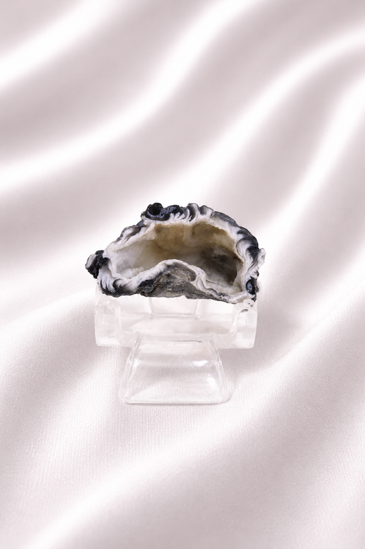 Polished Agate Geode #56- Less Shine