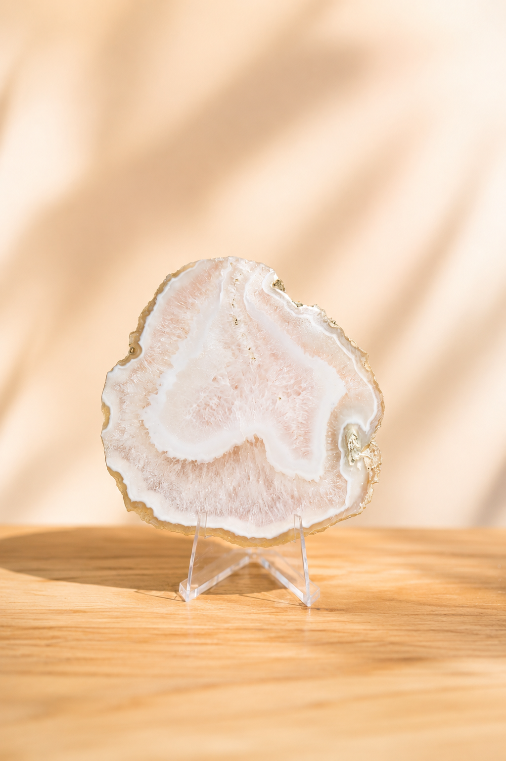Agate Slice With Stand #8