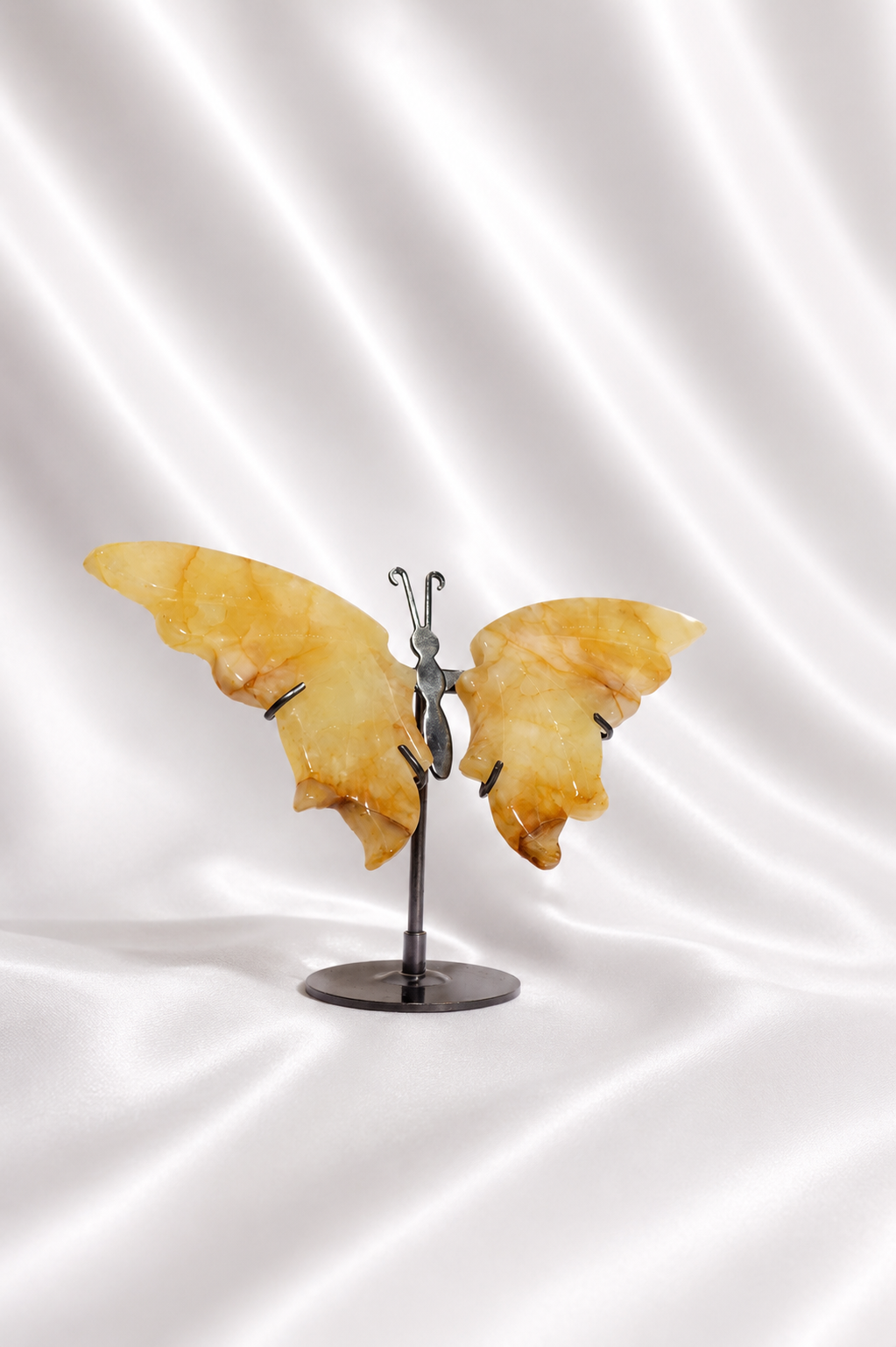 Golden Healer Butterfly Wings #8