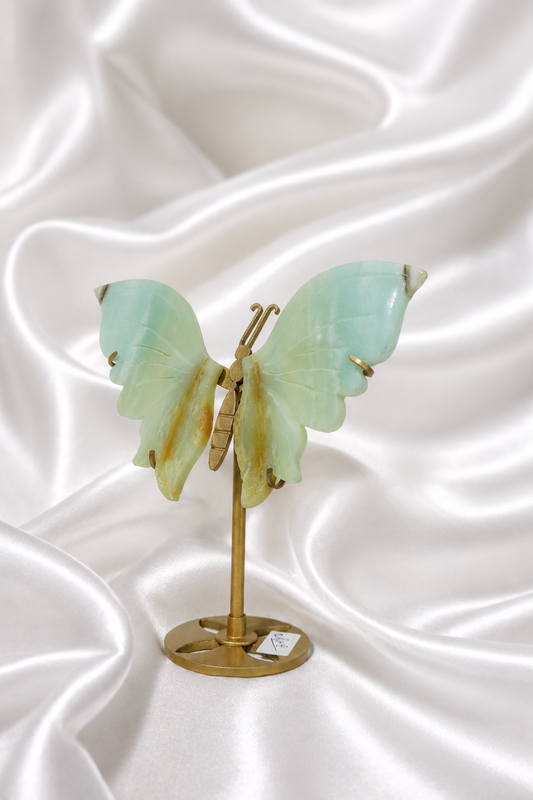 Caribbean Calcite Butterfly Wings