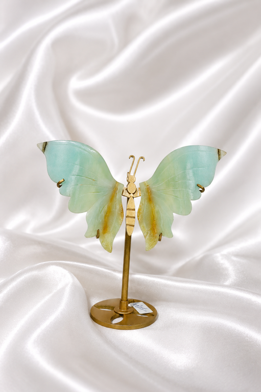 Caribbean Calcite Butterfly Wings