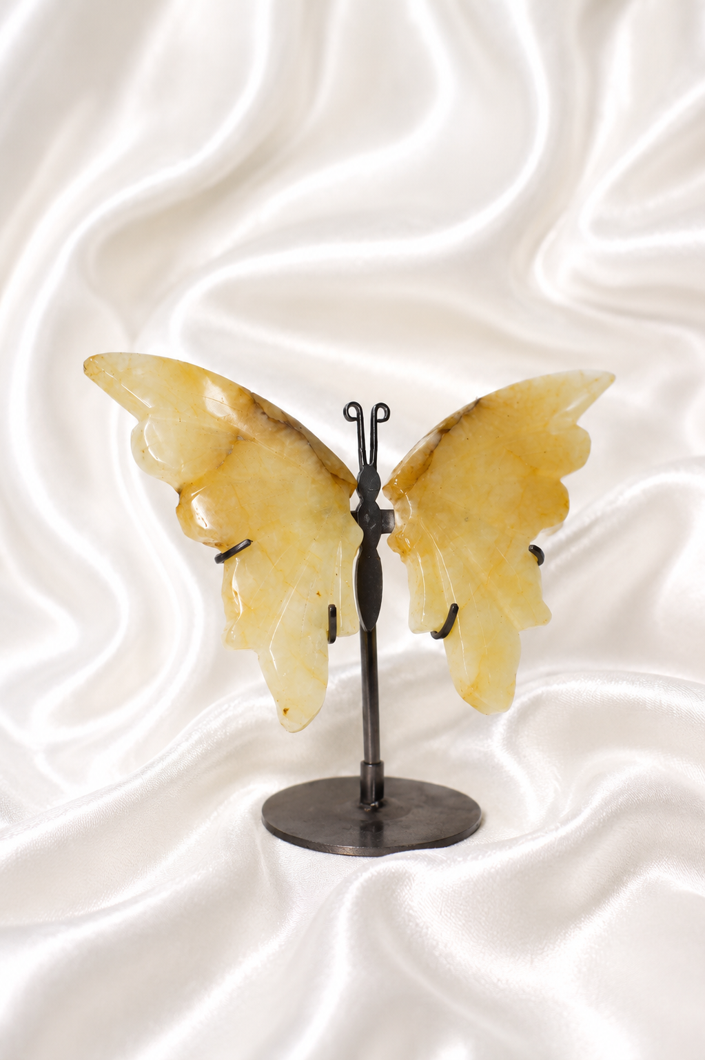 Golden Healer Butterfly Wings #8