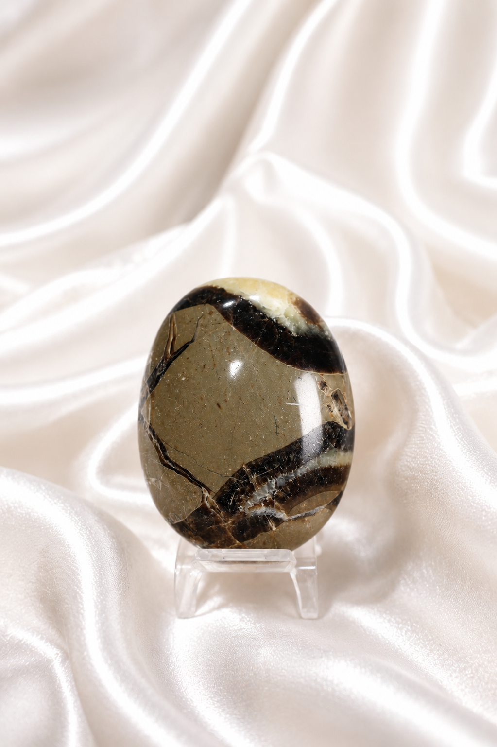 Septarian Palmstone #3