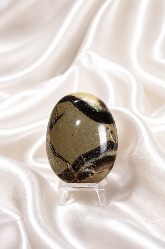 Septarian Palmstone #3