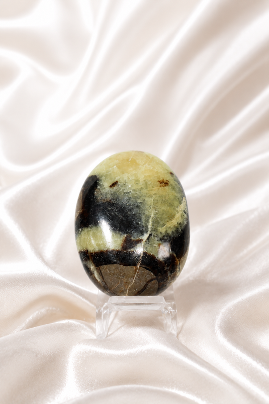 Septarian Palmstone #3