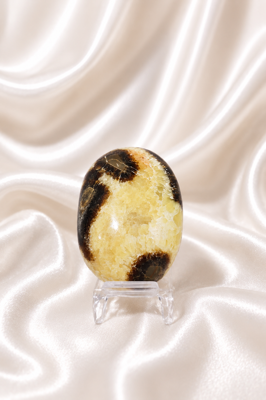 Septarian Palmstone #1