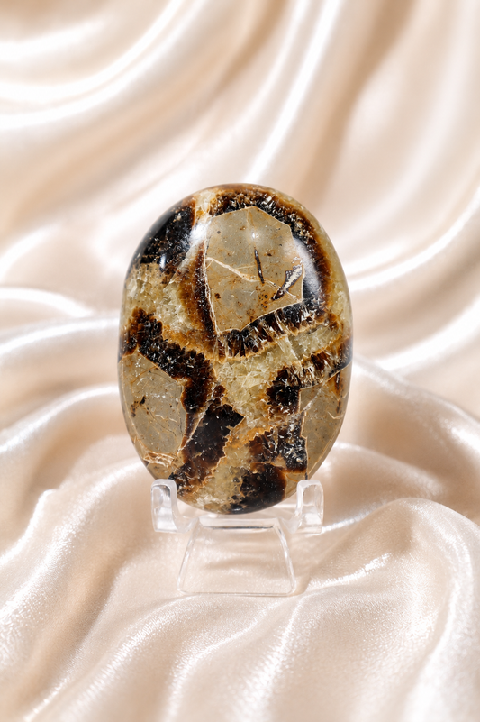 Septarian Palmstone #2