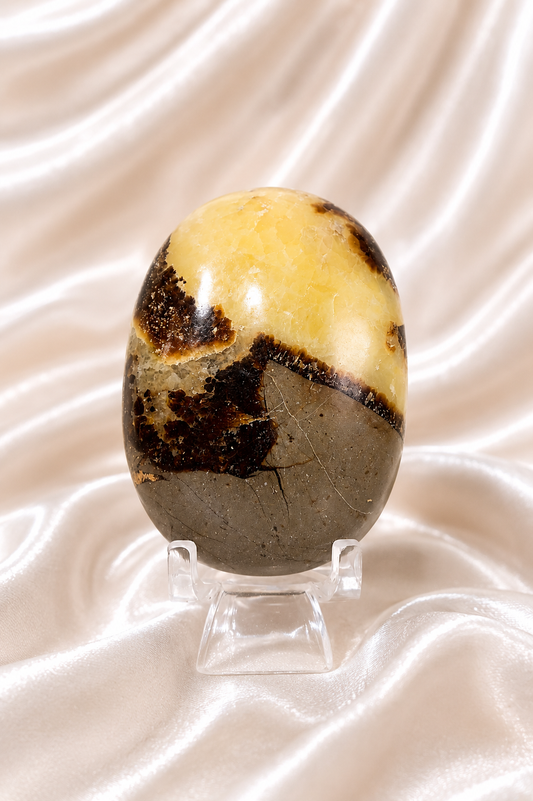 Septarian Palmstone #5