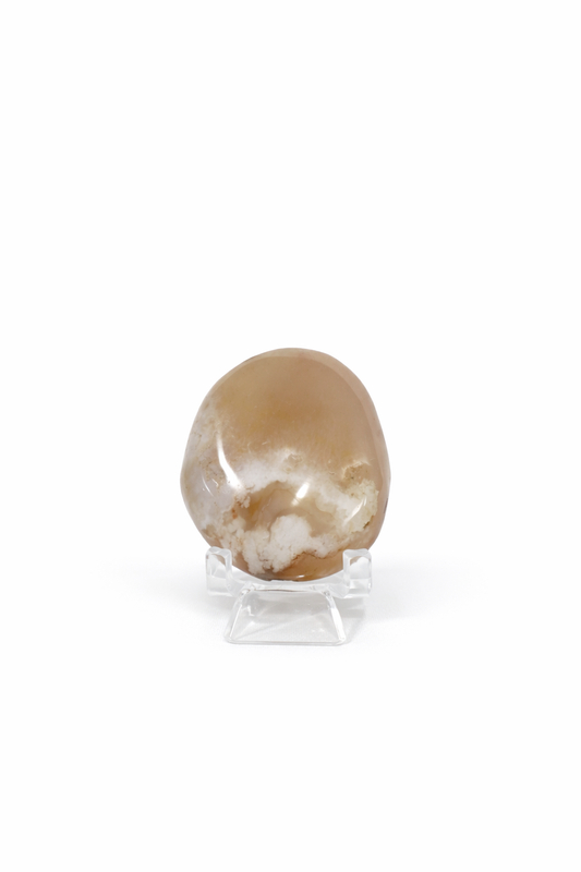 Flower Agate Palmstone #2