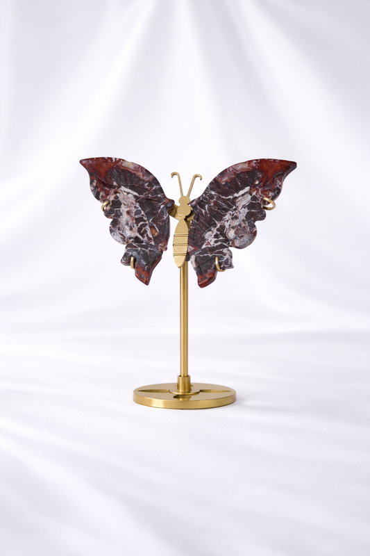 Mexican Crazy Lace Agate Butterfly Wings #1