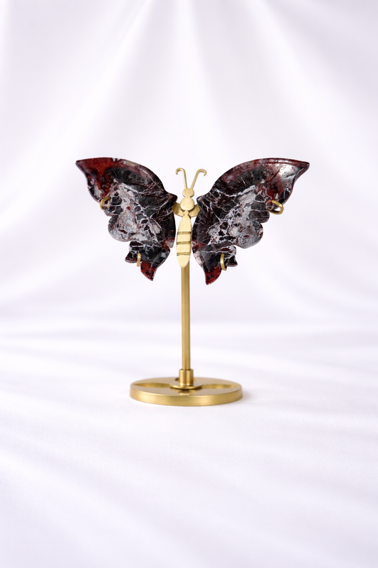 Mexican Crazy Lace Agate Butterfly Wings #1
