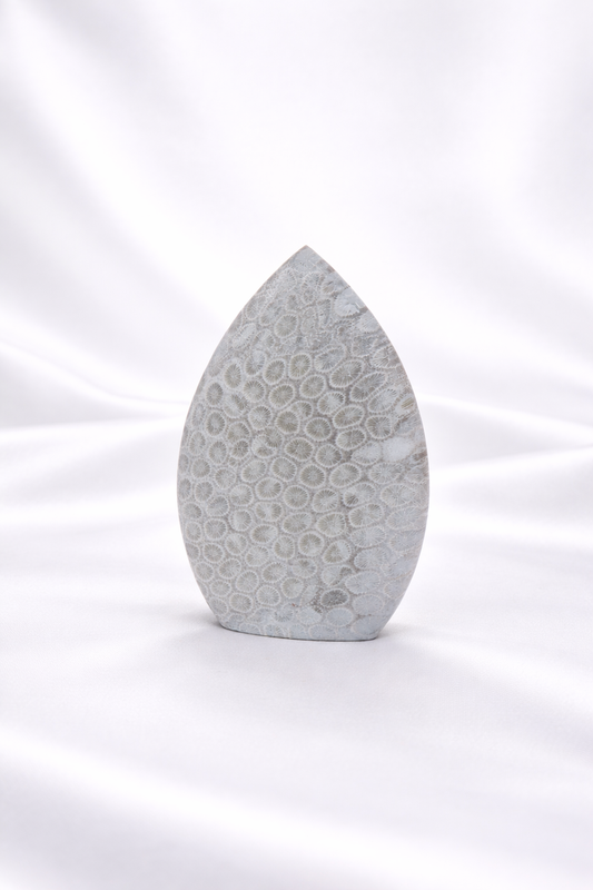 Fossil Coral Flame #2