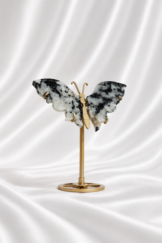 Rainbow Moonstone Butterfly Wings
